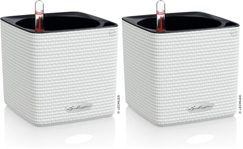 Lechuza Cube Color 14 weiß 13380 (Packung mit 2)