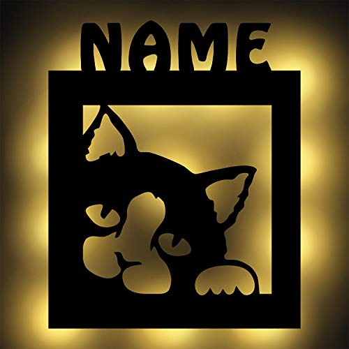 Namofactur Katze Geschenke für Frauen Katzen led Deko Nachtlicht Wand-Lampe personalisiert Kinder Mann Familie Katzenlampe mit Namen
