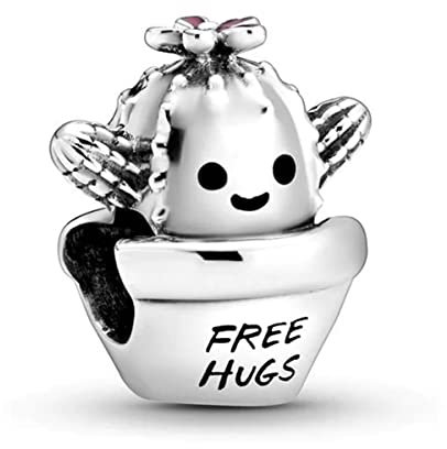 Wedanor Charmes Gratuit câlins cactus, émail noir et rose pour Bracelets - Charms de Perles ajourées en Argent Sterling 925, charmes de Coeur d'amour pour Bracelets et Colliers pour Femmes
