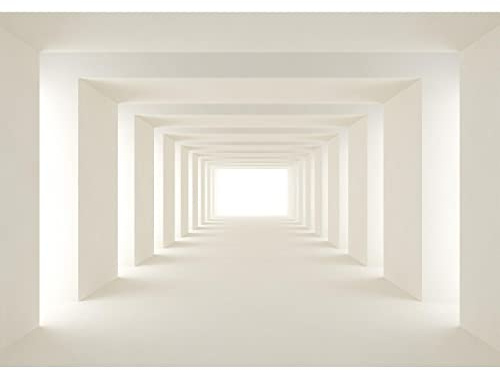 Runa Art Papier peint intissé 3D Effekt 352 x 250 cm Toison Mur XXL Tableaux Muraux Tapisserie Photo Décoration Murale Salon Chambre beige 9404011a