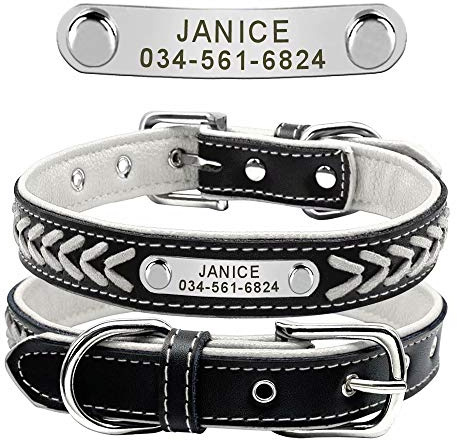 Didog Hundehalsband aus geflochtenem Leder, mit Gravur und personalisiertem Namensschild für kleine, mittelgroße und große Hunde, Weiß, Größe L