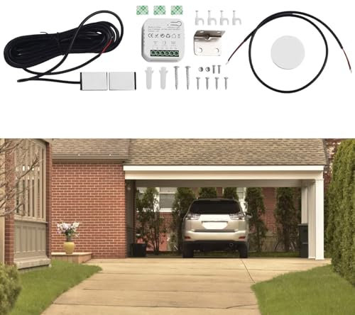 Smart Switch - Controller per porte garage, telecomando per apriporta, telecomando WiFi, controllo vocale con per Smart Life