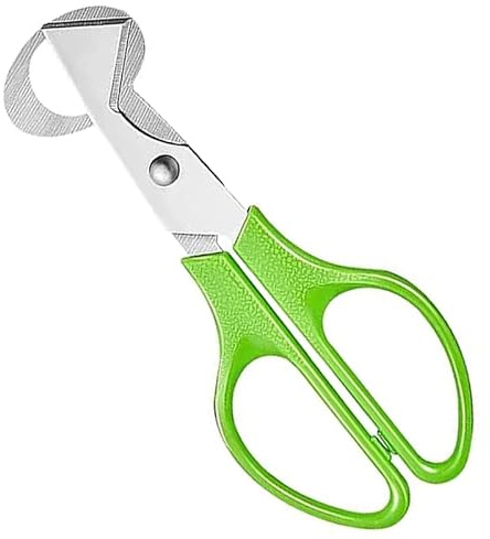 Tijeras de huevo de codorniz cortador de huevos de acero inoxidable tijeras de huevo pequeñas huevos de codorniz herramienta de cocina abridor de cáscara de huevo abridor de huevos de codorniz