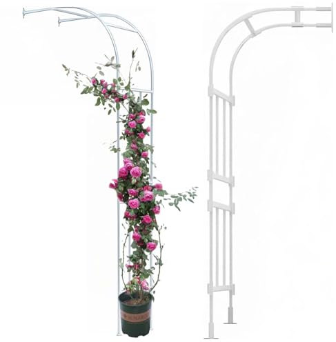 Treillis d'arche de jardin en métal de 2,4 m – Tonnelle en acier robuste pour plantes grimpantes et vignes – Arche de mariage et pergola pour décoration de jardin (240 x 240 x 40 cm)