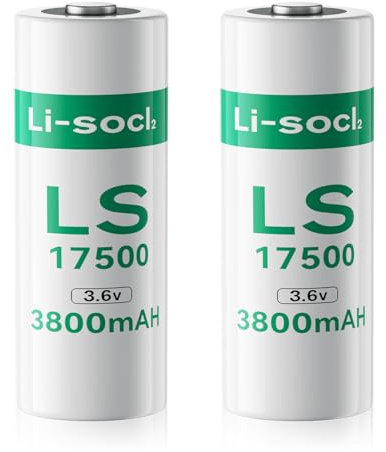 Lot de 2 Piles LS17500, 3,6 V 3800mAh Batterie Lithium Haute Capacité (Non-Rechargeable)