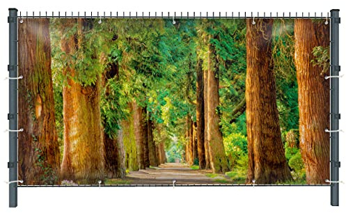 Warenfux24 Wald (1872) - Gartensichtschutz, Motivbanner, Sichtschutz Garten, Gartendeko, 251 x 143 cm, PVC (blickdicht)