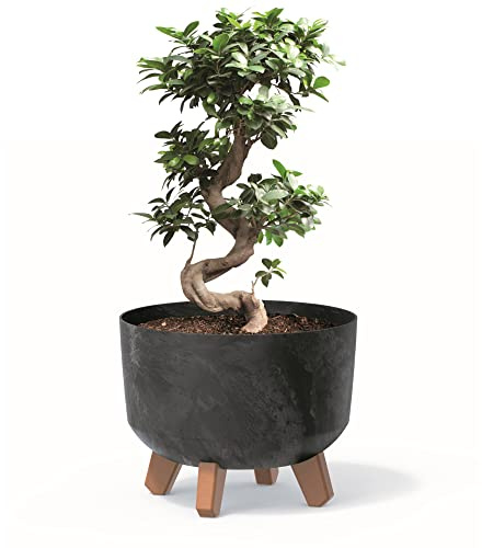 botle Blumentopf mit Füßen Pflanzkübel D 24 cm Anthrazit Kunststoff Töpfe mit Einsatz Beton Optik Übertöpfe Geldbaum Kakteen Gummibaum