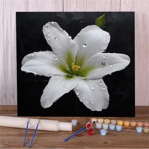 Suneve Malen Nach Zahlen Erwachsene,DIY Weiße Lilie Handgemalt Ölgemälde Kit Paint by Numbers mit 3-Pinseln und Acrylfarbe Ohne Rahmen für Geschenk Heimdekoration - 30x30cm