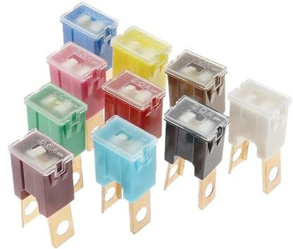 AYNRJKKX 100 Stück Auto-Sicherung mit langem Bein, quadratisch, 32 V, 20 A, 30 A, 40 A, 50 A, 60 A, 70 A, 80 A, 90 A, 100 A, 120 A(60A)