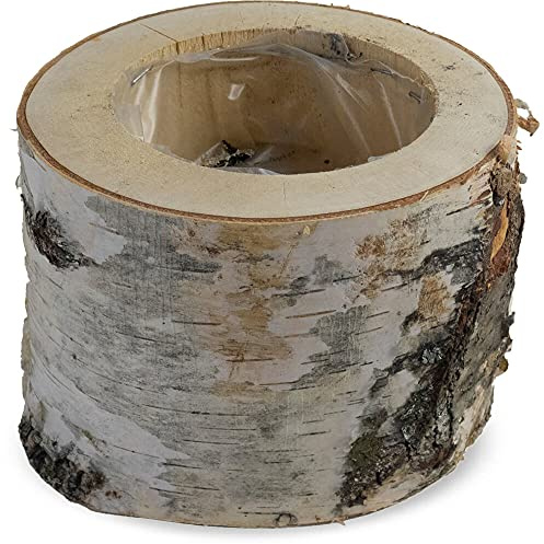matches21 Pflanztopf Birkenstamm Holzstamm Pflanzgefäß Übertopf Blumentopf Naturdeko mit Plastikbecher 1 STK Ø 16-19x16 cm