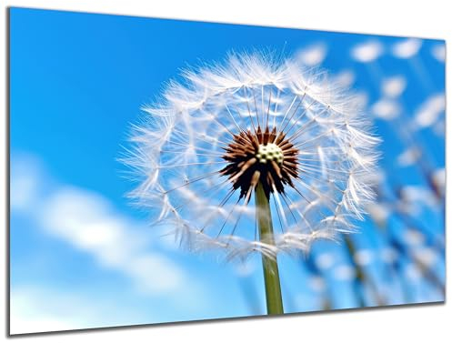 DARO Design - Wand-Bild auf 6mm HDF 30x20 cm Löwenzahn Pusteblume - Wand-Deko Bilder Geschenk