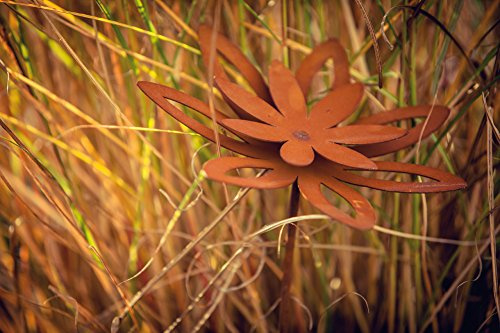 Ferrum Blume Blüte Margerite auf Stab Rost Edelrost Metall Deko Dekoration Gartenstecker Rostfigur Deko-Idee Rostdeko Geschenk-Idee Geschenk Blumen