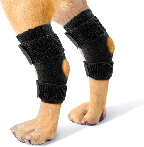 Qcwwy Hunde-Knieorthese Für Das Hinterbein Mit Befestigungsgurt Für ACL-Verrenkung, Kniescheiben-Verrenkung Und Arthritis (S)