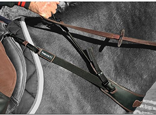 freejump Trainingshalsband.