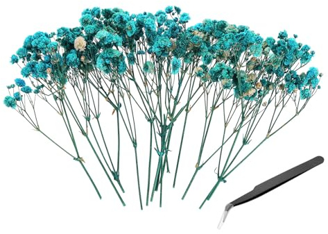 PATIKIL 30 Pezzi Mazzi Di Fiori Pressati Naturali. | 30 Pezzi Mini Kit Fiori Secchi Di Gypsophila Mazzi Di Fiori