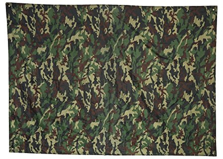 Alomejor Camping Tarp Picknickmatte tragbar - Multifunktionale Zelt Fu?Abdruck mit Tragetasche f¡§1r Outdoor Picknick Wandern (3x2,9m)