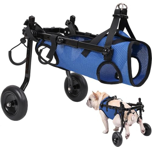 Adjustable Small Dog Wheelchair - Mobility Aid for Disabled Pets,Small Dog Wheelchair for Back Legs， Leg Brace & Hip Support (Medium)