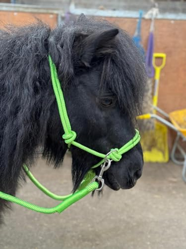 Equipride Licol en corde avec rênes pour une utilisation d'équitation sans mors complet à mini shet 5 couleurs (vert fluo, mini Shetland)