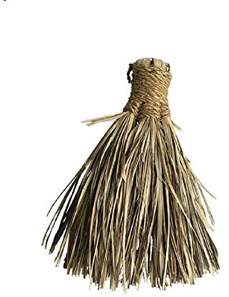 Gardenzooshop 2 PEZZI Scopa Palma Nana Adatta A Qualsiasi Tipo Di Forno