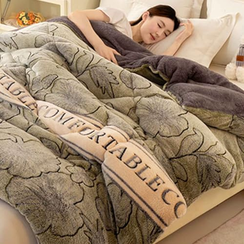 YWQJL Coperta Calda Imbottita Invernale Letto Matrimoniale Trapunte Invernali Pesanti in Lana d'Agnello Piumoni Invernali Trapunta in Velluto di Agnello Addensante Invernale(*6,180 * 220cm/3kg)