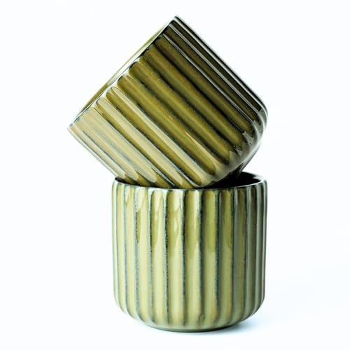 Erkundpresso. - 2 x 180 ml Tazas de Café de Cerámica sin Asa - Tazas de Café para Espresso para agua y té - Resistentes al Calor - Colores Retro - Juego de regalo -Verde