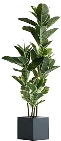 DMMFTERL Künstlicher Baum Künstlicher Baum Kunstbaum Grünpflanze Künstliche Baumpflanze Gummibaum Indoor-Bonsai Gefälschte Bäume Grüne Pflanze Home Office Dekoration Künstliche Bäume Gefäls