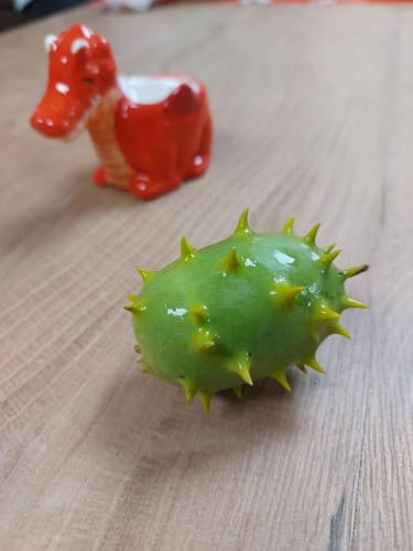 Äthiopische Stachelgurke - Cucumber - Cucumis carolinus - 5+ Samen Cu 050
