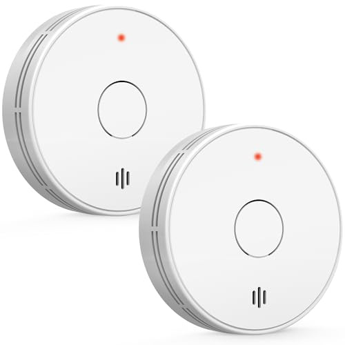 Smoke Alarms for Home 2 Pack, 10 Years Battery Smoke Detectors with Big Test/Silence Button, Conforms to EN14604 Standard, UKCA