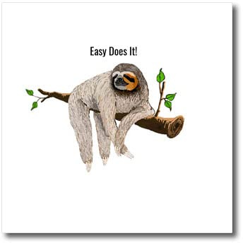 3dRose Easy Does It Text Over A Branch with A Sloth - Iron on Heat Transfers (ht-363566-3)