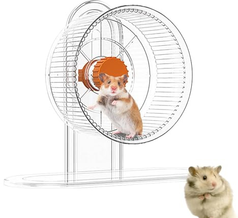 Roue silencieuse pour hamster, hamster, chinchilla - Roues réglables en hauteur pour petits animaux - Accessoire de cage pour hamsters, furets, chinchillas
