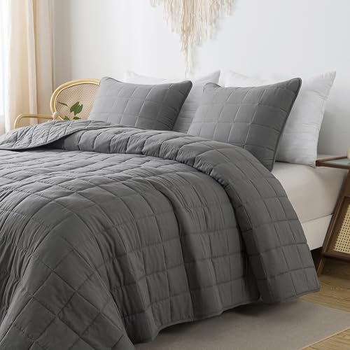 R.SHARE Tagesdecke Frühling und Sommer 170×225 cm (mit 1 Kissenbezüg) Kuscheldecke Flauschig Decke, Ultra Weiche Sofaüberwurfdecke für alle Jahreszeiten, Wohndecken Steppdecke aus Mikrofaser-Grau