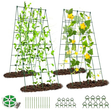 SUNYRISY Metall Gurke Rankhilfe 2er Set, Rankgitter für Gurke | Gitternetz Kletterpflanzen Tomaten Rankhilfe, Pflanzenstütze für Blumen & Nutzpflanzen, Grün