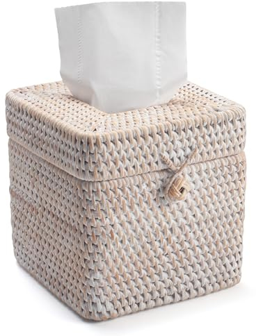 Caja de Pañuelos de Papel de Ratán con Tapa, Soporte de la Caja de Mimbre Cuadrado, Caja de Pañuelos de Papel de Tejida Facial para la Mesa de Comedor, Sala de Estar, Baño, Dormitorio (Blanco)