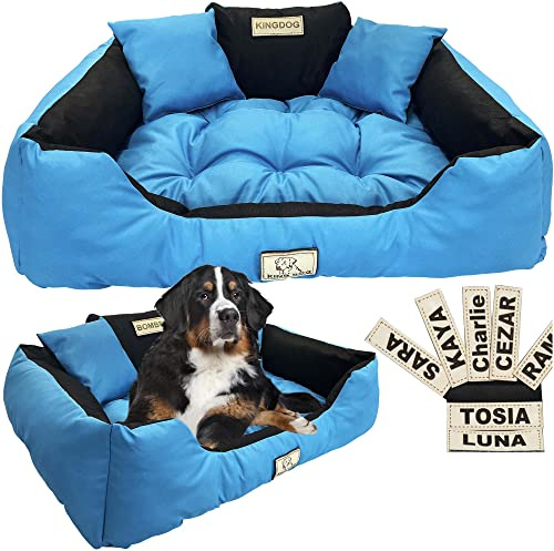 EDANTI Lit pour chien Coussin pour chien Lit pour chat Personnalisé Canapé pour chien avec nom L - XL pour grands, moyens et petits chiens (75x65, Bleu)