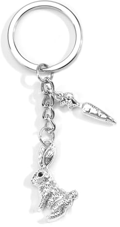 Gallkeat Schlüsselanhänger Hase mit Karotten, 3D Hase Geschenke, Kawaii Auto Schlüsselanhänger, Bagcharm und Charms Anhänger Tasche, Geschenkideen Für Frauen