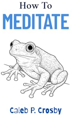 How to Meditate: Mindfulness Meditation for Beginners (How To Guides For People Who Are Trying, Band 2)