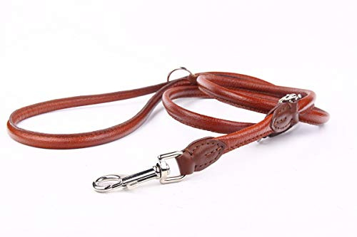HOGACA sehr edle Echt-Leder-Hundeleine 962 ø10mm / 220cm Handarbeit Made IN EU verstellbar mit hochwertiger silberfarbiger Schnalle aus Chromnickelstahl