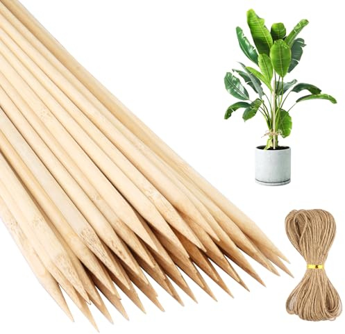 Pflanzstab, 50 Stück Pflanzstäbe mit 20 m Hanfseil | Pflanzenstütze Holzfarbe, Rankstäbe Pflanzenstäbe für Haus, Garten, Kletterpflanze, Tomaten, Blumen Rankhilfe (40 cm x 6 mm)