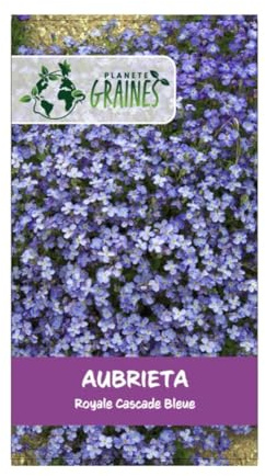 350 graines d'aubrieta bleu cascade (aubrieta deltoidea) tapis de fleurs vivace bleu violet - rampant