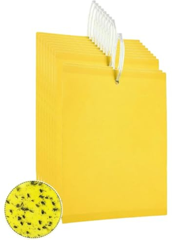 60 Pezzi Trappole Acchiappa Ciliegio Mosche, Mosca Dell'olivo Trappole Appiccicose Gialle Bilaterali per Insetti Volanti per Olivo, Afidi,MosceriniFungini (A(10cm/3.93in*15cm/5.9in)60 Pezzi)