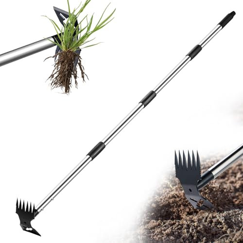 LAWFYMORI Unkrautstecher, Unkrautentferner Länge 150cm, Unkrautjäter mit Langem Stiel, 2-in-1 Unkrautrechen und Gartenhacke, Gartenwerkzeug Effizientes Entfernen von Unkraut Gartengeräte