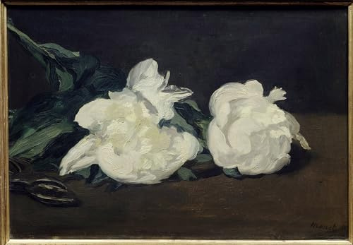 ARTSLSBS vintage Wall Art Picture Artworks Prints Branch of White Peonies and Secateur Painting by Edouard Manet Animal Painting for Home Decor 60x90cm