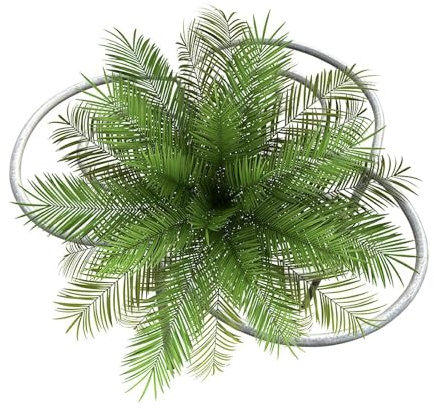 Generico Supporto agli delle Piante,Sostegno per Fiori e Frutti - Supporto per di Fiori | per la Coltivazione di Monstera e ortaggi con Supporti in Serra fioriera e nel Giardino