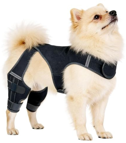 Generisch Kniebandage für Hunde Hinterbein mit 4 Metall-Stabilisatoren – Verstellbarer Gelenkschutz & Beinstütze zur Rehabilitation – Hilfe bei KreuzbandrissArthritis – Beinschoner für Hundegelenke