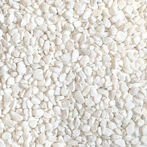 Midwest Hearth Guijarros decorativos naturales de frijol blanco tamaño 1/5 (bolsa de 5 libras)