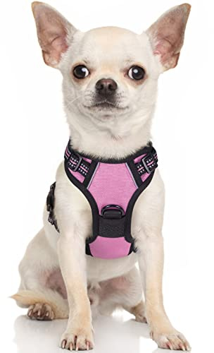 rabbitgoo Hundegeschirr Kleine Hunde Anti Zug mit Griff, XS, Rosa