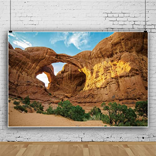 Ttincceer 270x180cm Pierre Arc Toile de Fond Coucher de Soleil désert Paysage Pierre Mur Photographie Fond buissons Plantes Vertes Photographie Toile de Fond Voyage Photo Studio Stand Prop