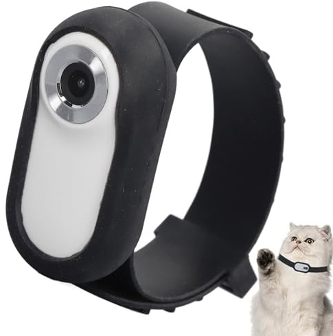 Haustier Kamerahalsband, Full HD Katzen Hundehalsband Kamera mit Videoaufzeichnung & 90°Weitwinkelobjektiv, kein WLAN Erforderlich Haustier Action Kamera für Hunde, Katzen (White)