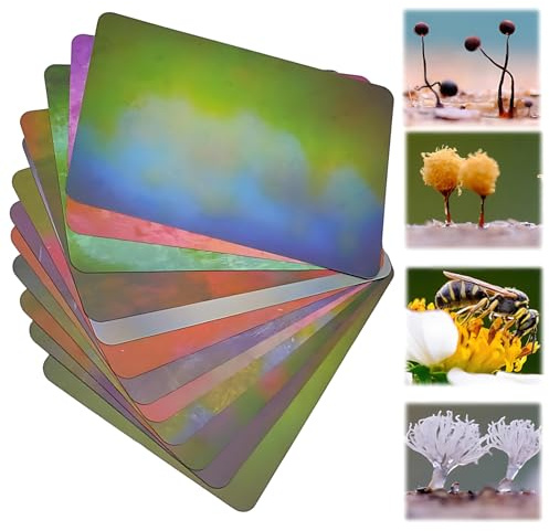 12 bunte Hintergrundkarten für Makrofotografie und Studio, umweltfreundliches lichtabsorbierendes Material für kleine Produkte, Lebensmittelbilder und Schmuck