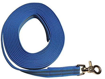 Dogs and More - Gummierte Schleppleine/Suchleine/Feldleine mit Reflektionsstreifen => 5 Meter (ohne Handschlaufe) - Orange, Blau oder Lila